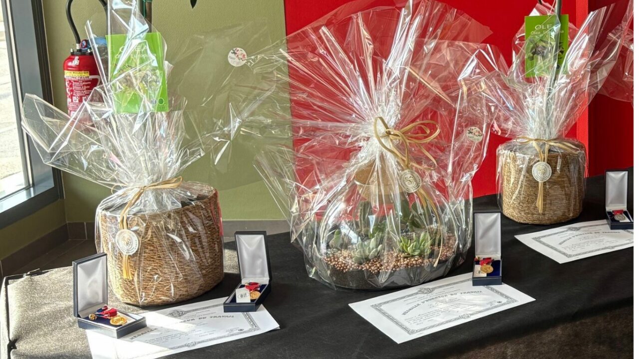 Remise des médailles du travail lors de la fête de l'été